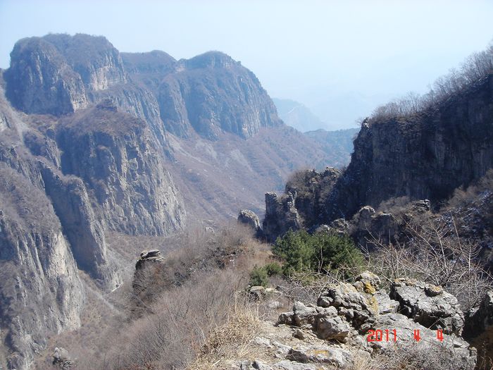 neo_img_dsc07021.jpg