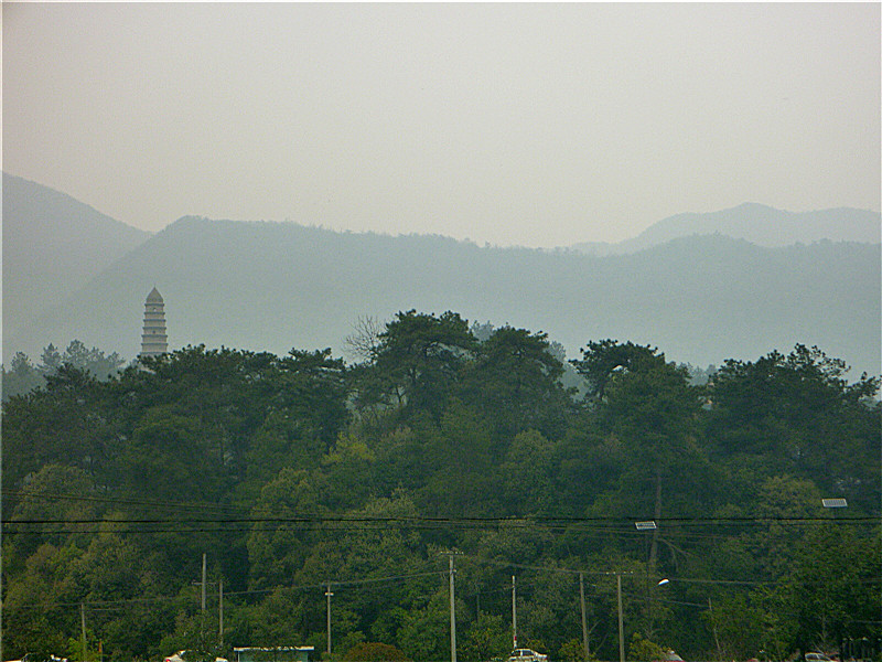 p1050453_.jpg
