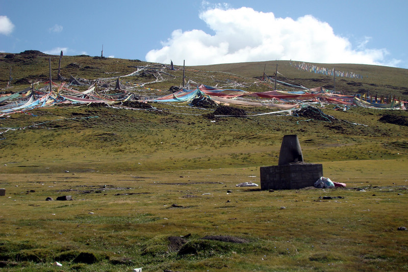 dsc02678.jpg