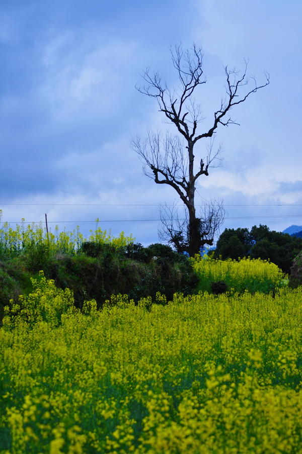 Դ20110405 133.jpg