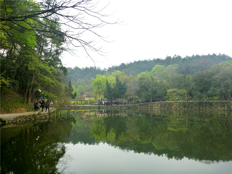 p1050492_.jpg