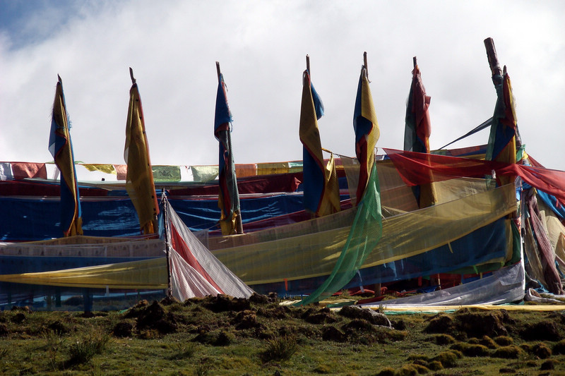 dsc02690.jpg