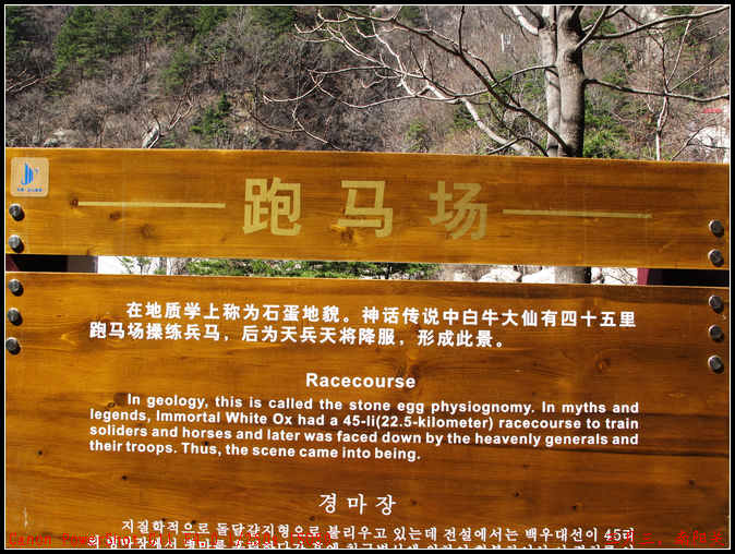 2011. 082.jpg