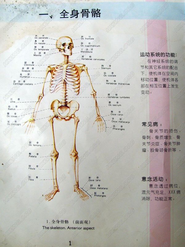 http_imgloadcad99jw6.jpg