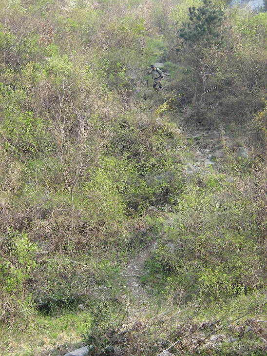 img_3385.jpg