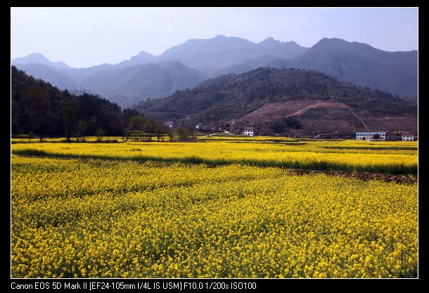 Ƭ 088.jpg