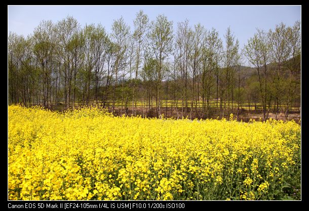 Ƭ 069.jpg