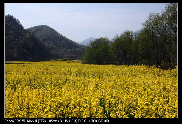 Ƭ 081.jpg