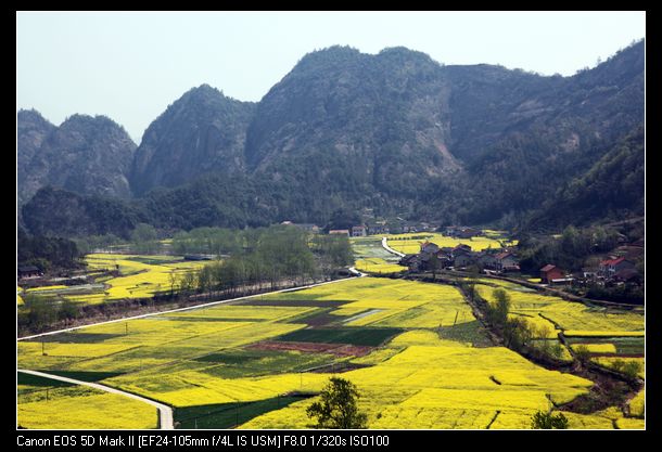 Ƭ 098.jpg