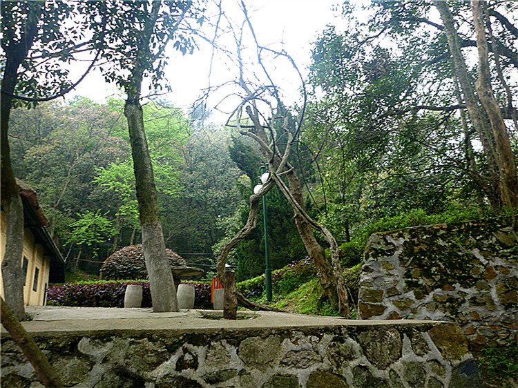 p1050463_.jpg