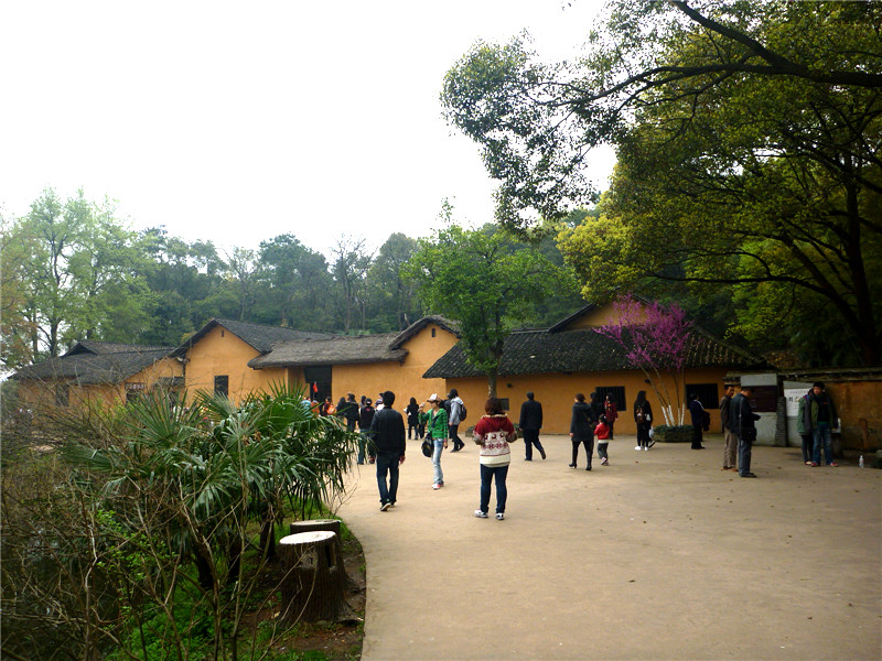 p1050416_.jpg