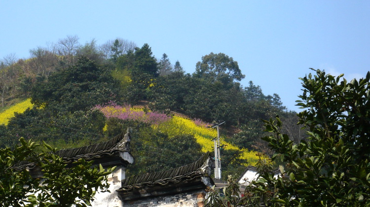 p1110008.jpg