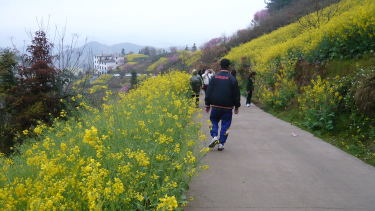 p1100956.jpg