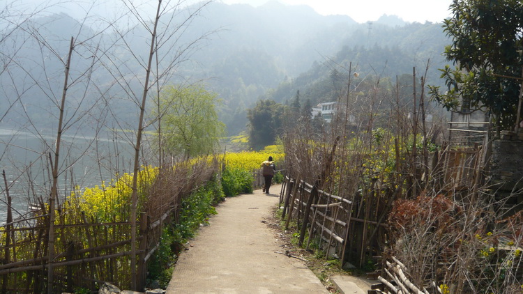p1100998.jpg