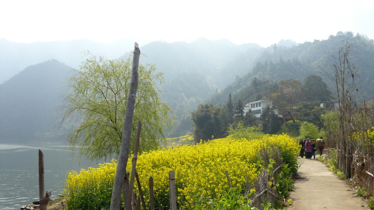 p1110003.jpg