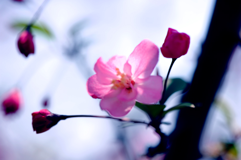 dsc_5775a.jpg