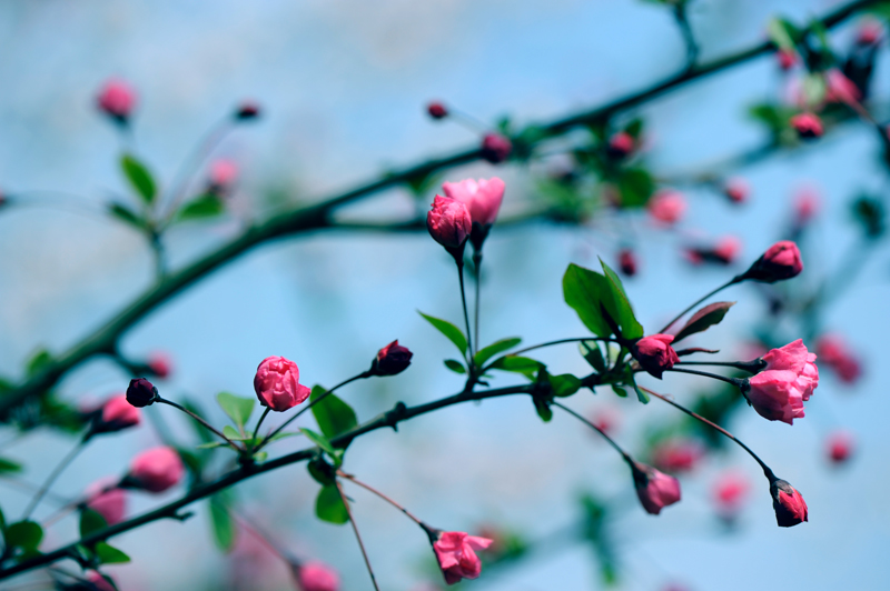 dsc_5781a.jpg