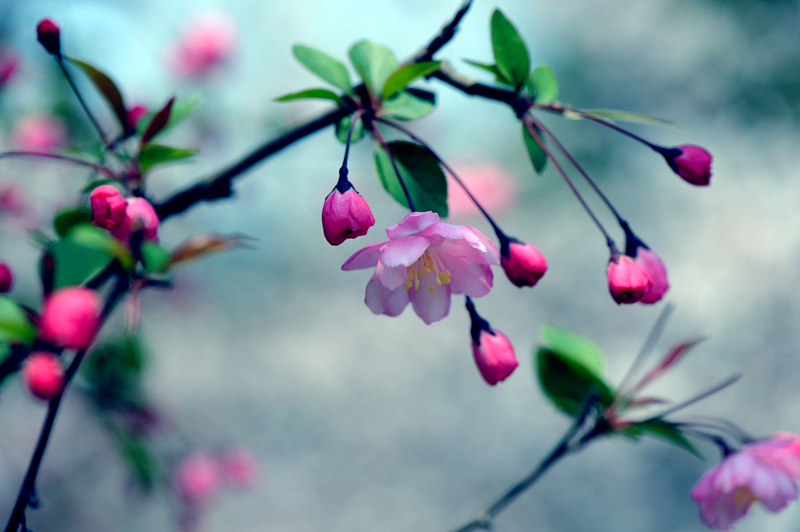 dsc_5787a.jpg