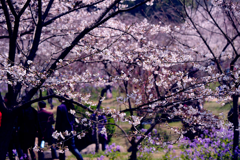 dsc_5790a.jpg