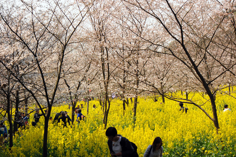 dsc_5791a.jpg