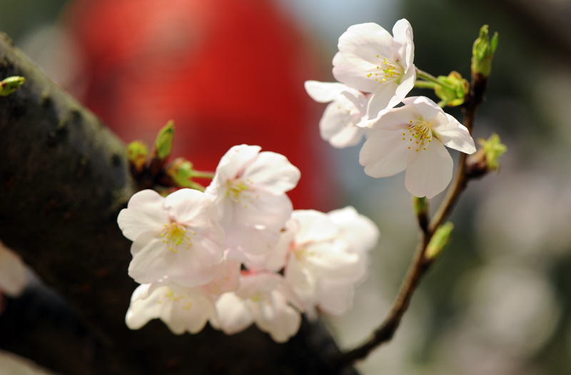 dsc_5803a.jpg