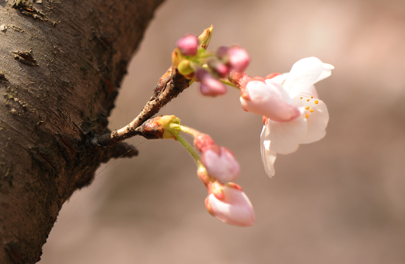 dsc_5807a.jpg