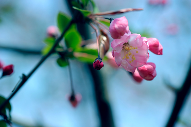 dsc_5761a.jpg
