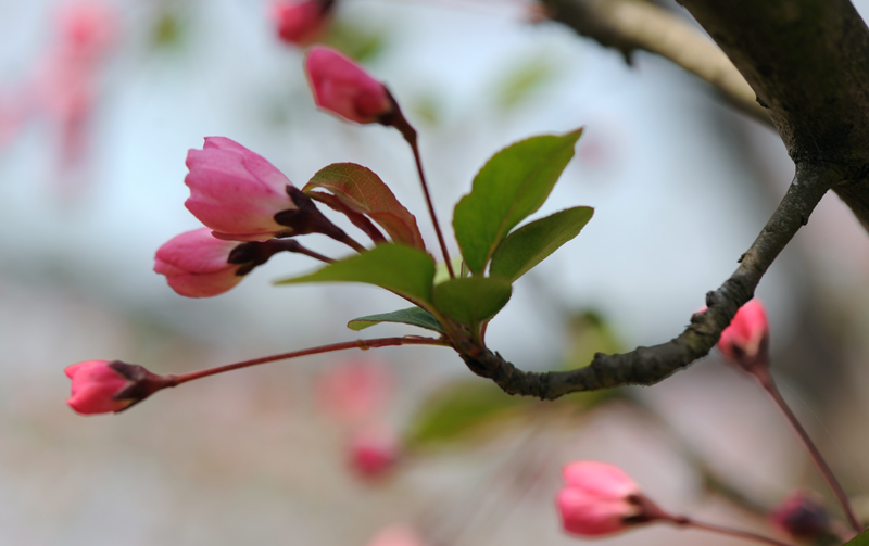 dsc_5762a.jpg