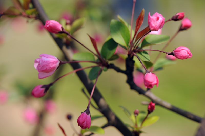 dsc_5764a.jpg