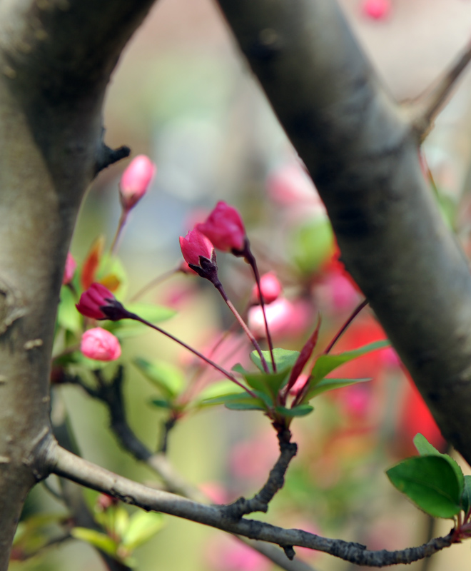 dsc_5767a.jpg