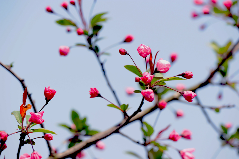 dsc_5768a.jpg