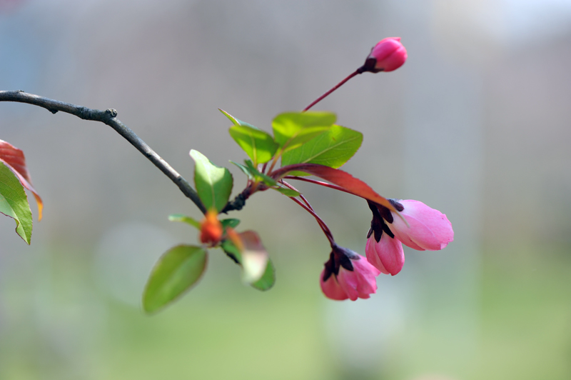 dsc_5769a.jpg