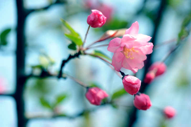 dsc_5770a.jpg