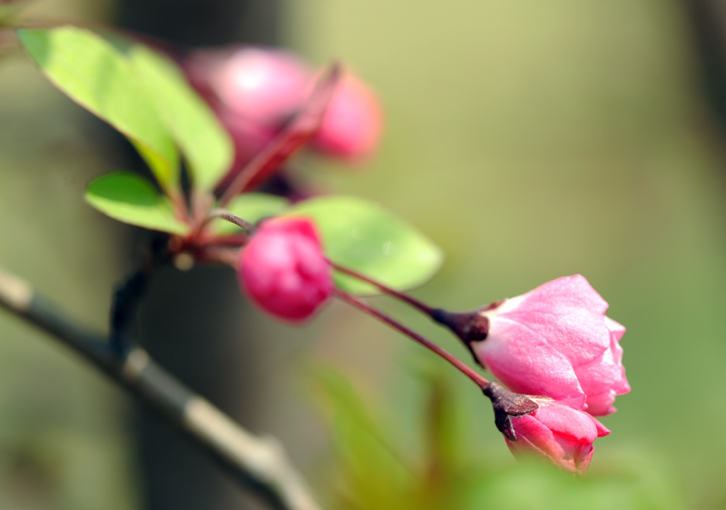 dsc_5771a.jpg