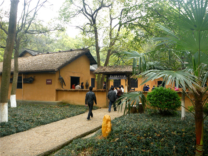 p1050438_.jpg
