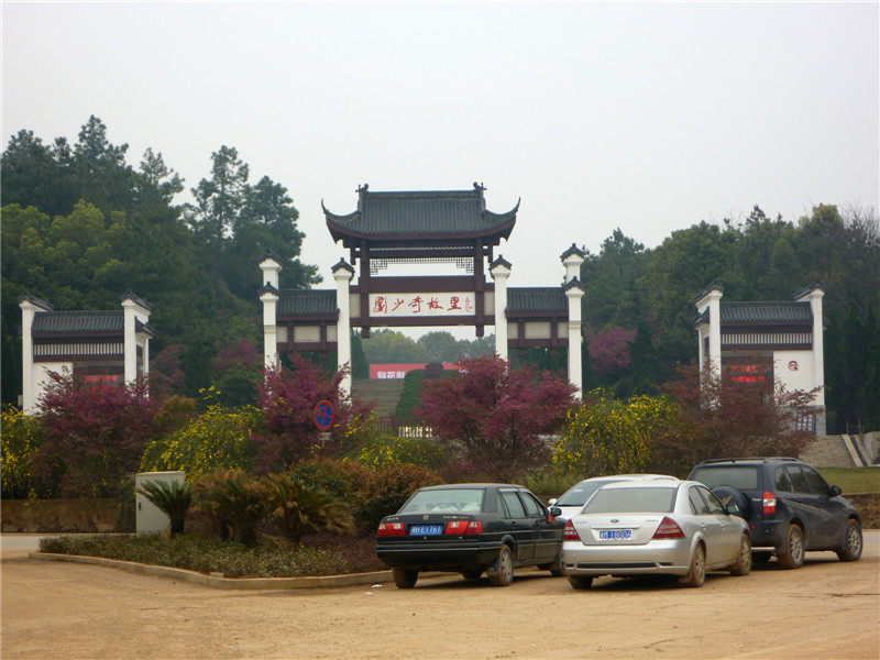 p1050440_.jpg