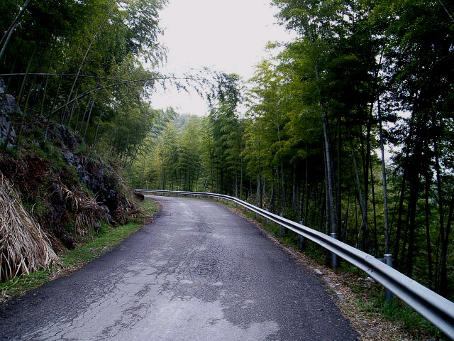 p1011670.jpg