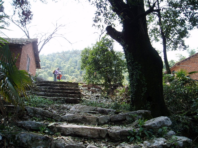 p1011667.jpg
