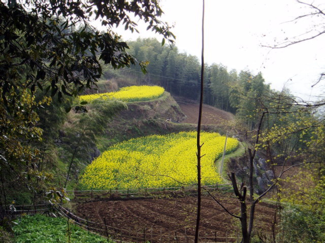 p1011715.jpg