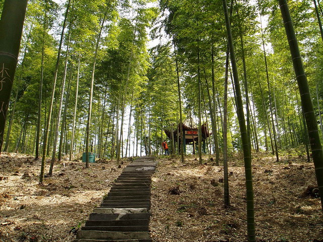 p1011673.jpg