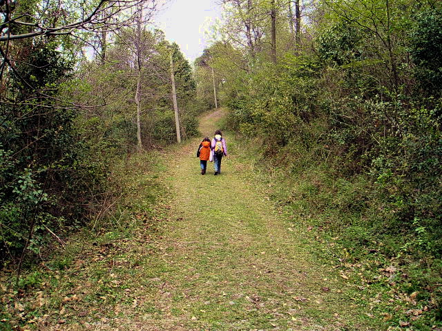 p1011696.jpg