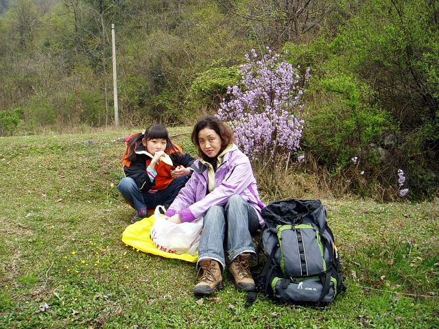 p1011698.jpg