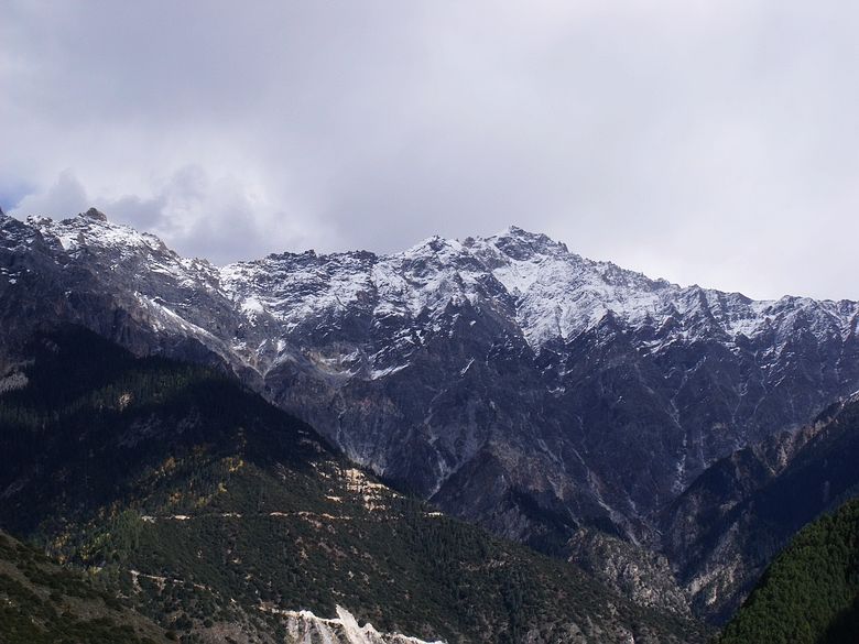 dscf9447.jpg