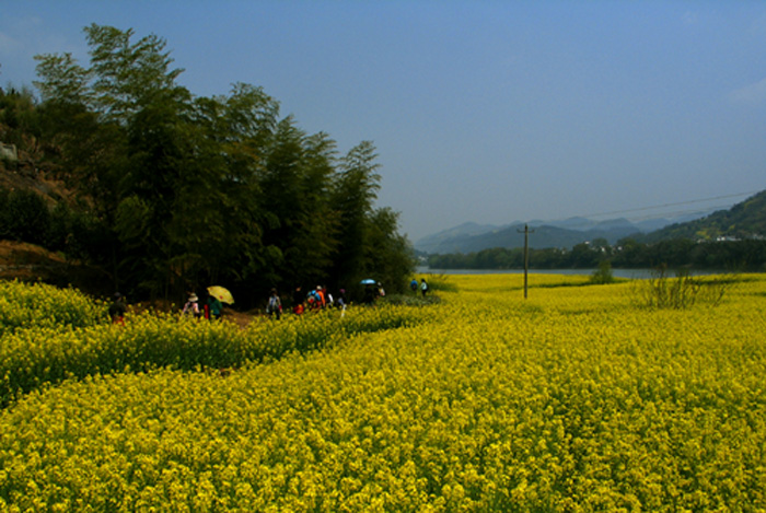 Ԫ 023.jpg