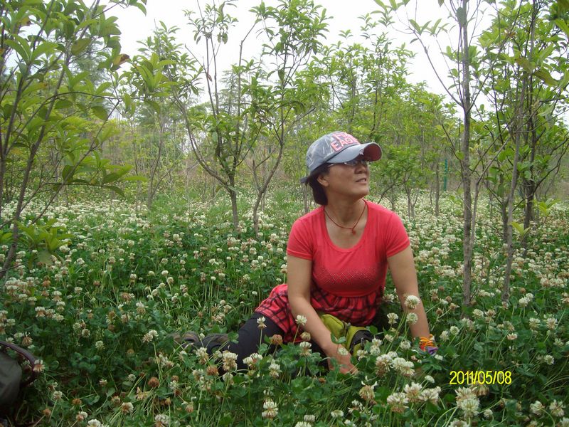 sany5482.jpg