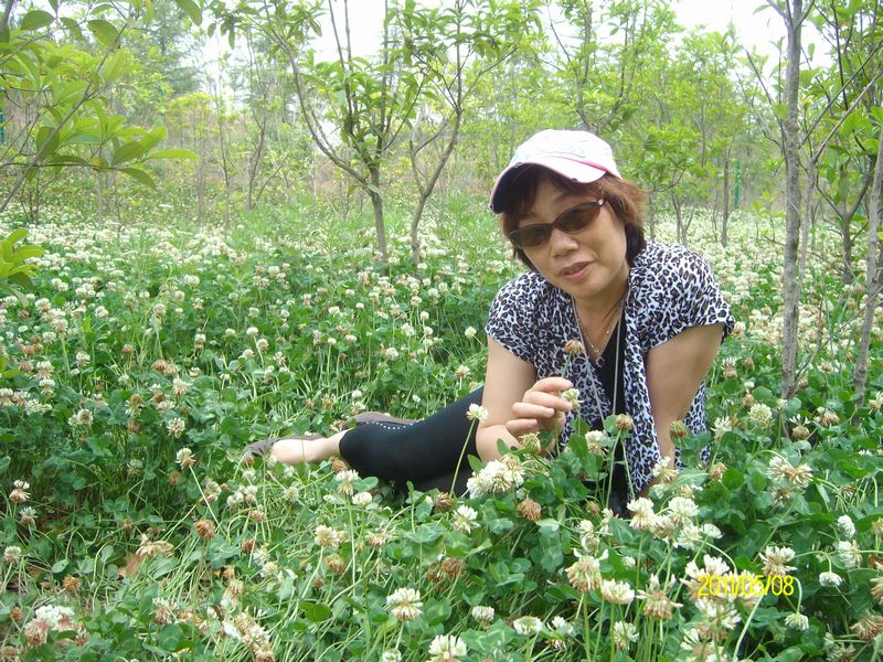sany5488.jpg