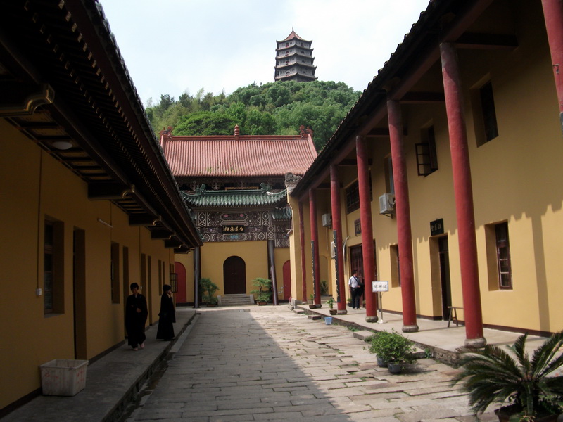 dscf0429.jpg
