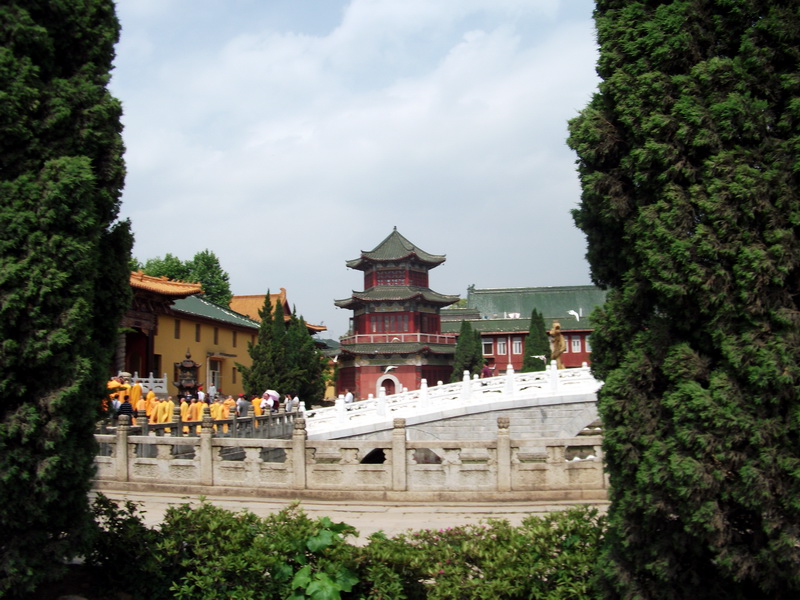 dscf0453.jpg