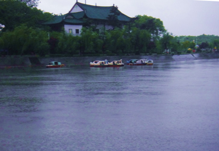 dsc08991.jpg