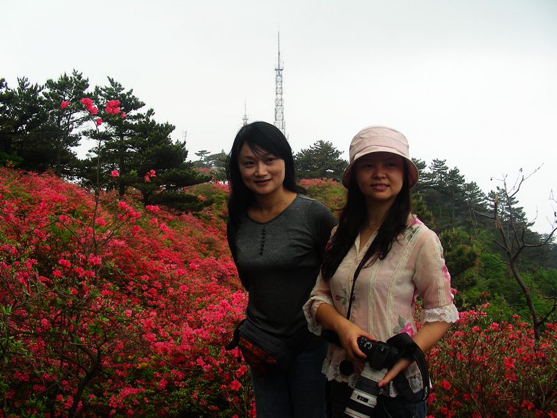 dscn9646.jpg